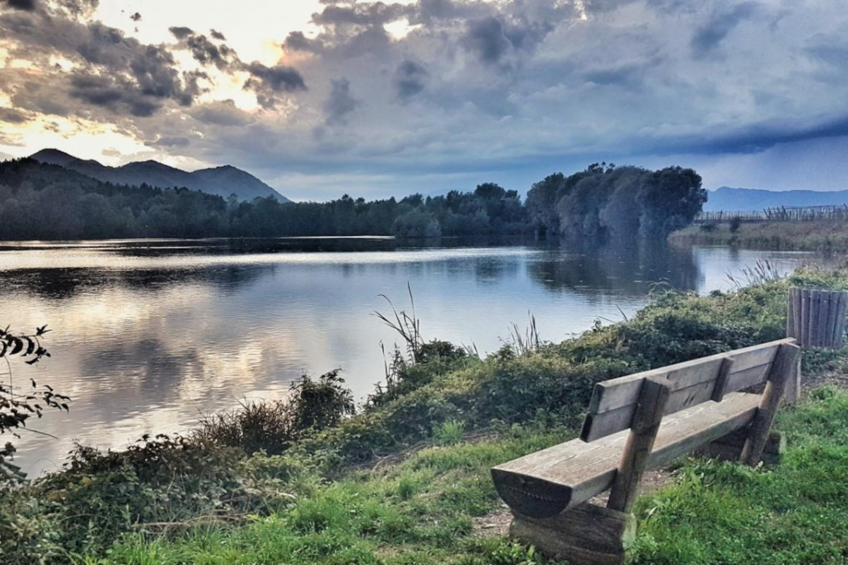 Vrbje Pond