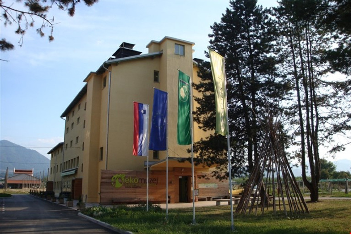 Špica