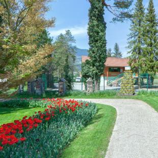 Ogled povečano sliko Mozirski gaj