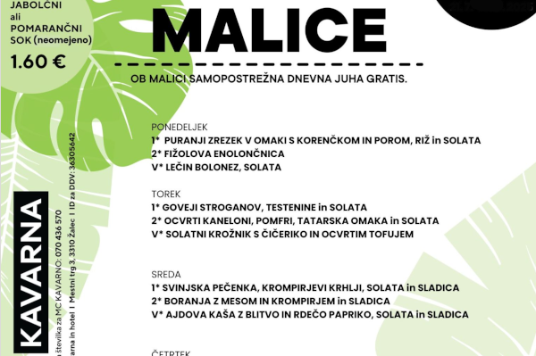 Dnevne malice